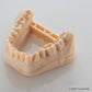 Résine BASF - Ultracur3D DM 2505 Dental Model - 1 kg